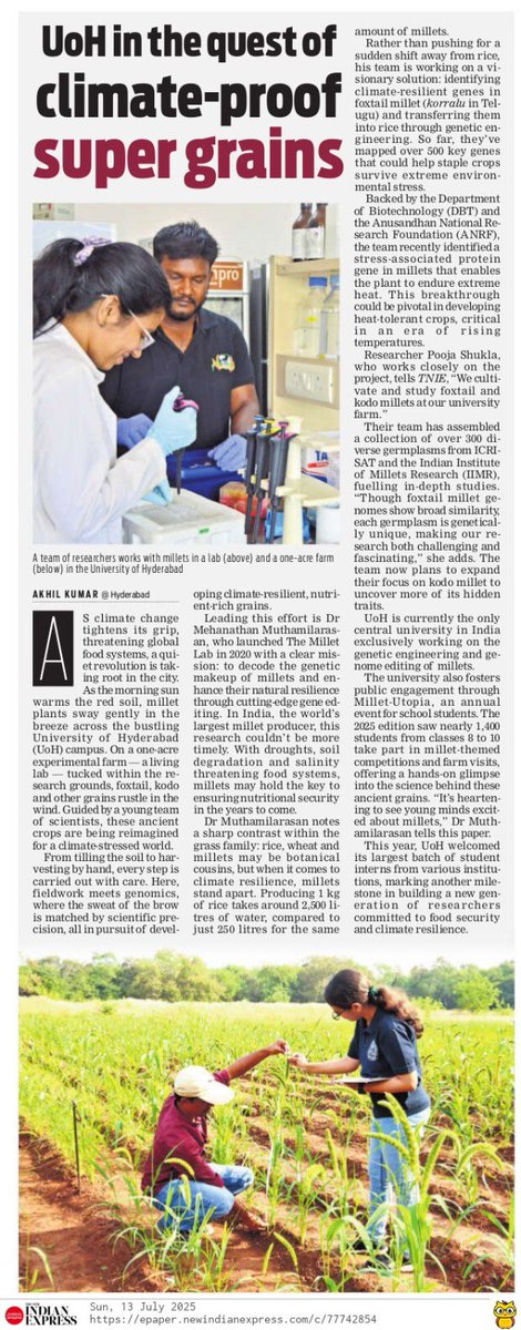 HydUniv's tweet image. 🌾 UoH’s Millet Lab Leads the Way in Climate-Proof Super Grains! 🔬🌱

The Millet Lab at the University of Hyderabad, under the leadership of Dr. Mehanathan Muthamilarasan, is making groundbreaking strides in sustainable agriculture. With a dedicated one-acre experimental farm on…