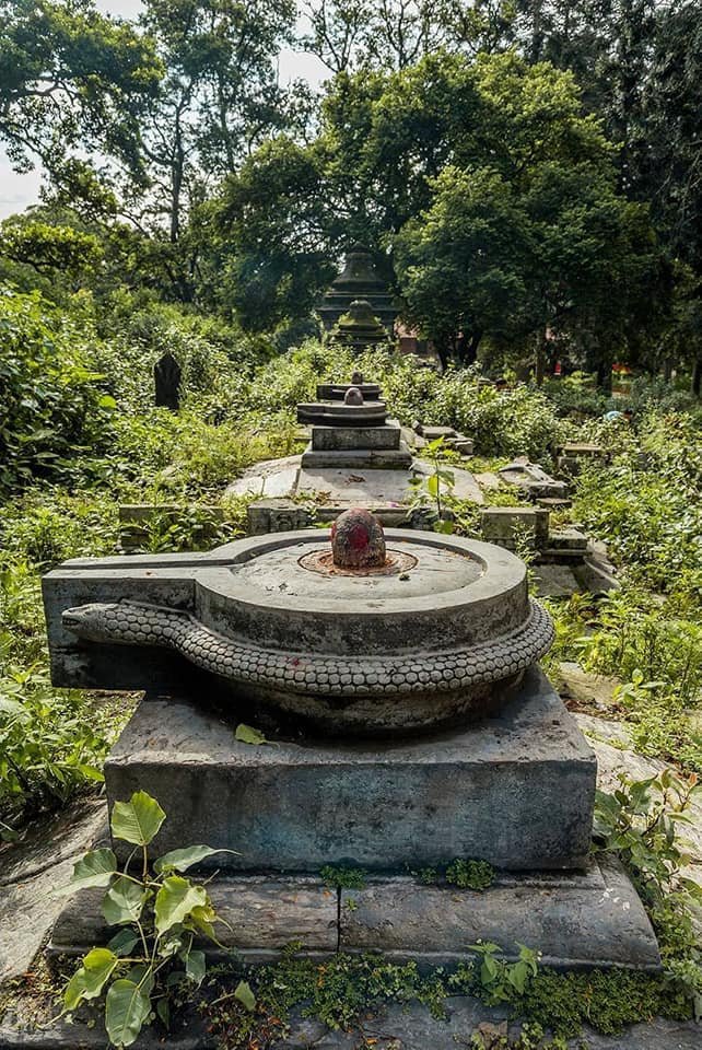 शक्यं विस्मर्तुं, शक्यं परित्यक्तुं, किन्तु सदा जीवति।

हर हर महादेव 🙏