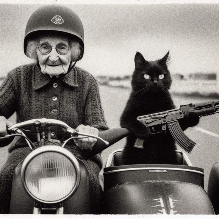 #BuenosDías 
#FelizDomingo 
🦋🌻😘😘
Que paséis un día estupendo domingueando!!🎶

Yo no soy la que conduce, soy el gato!! (He pasado mala noche)😏😅