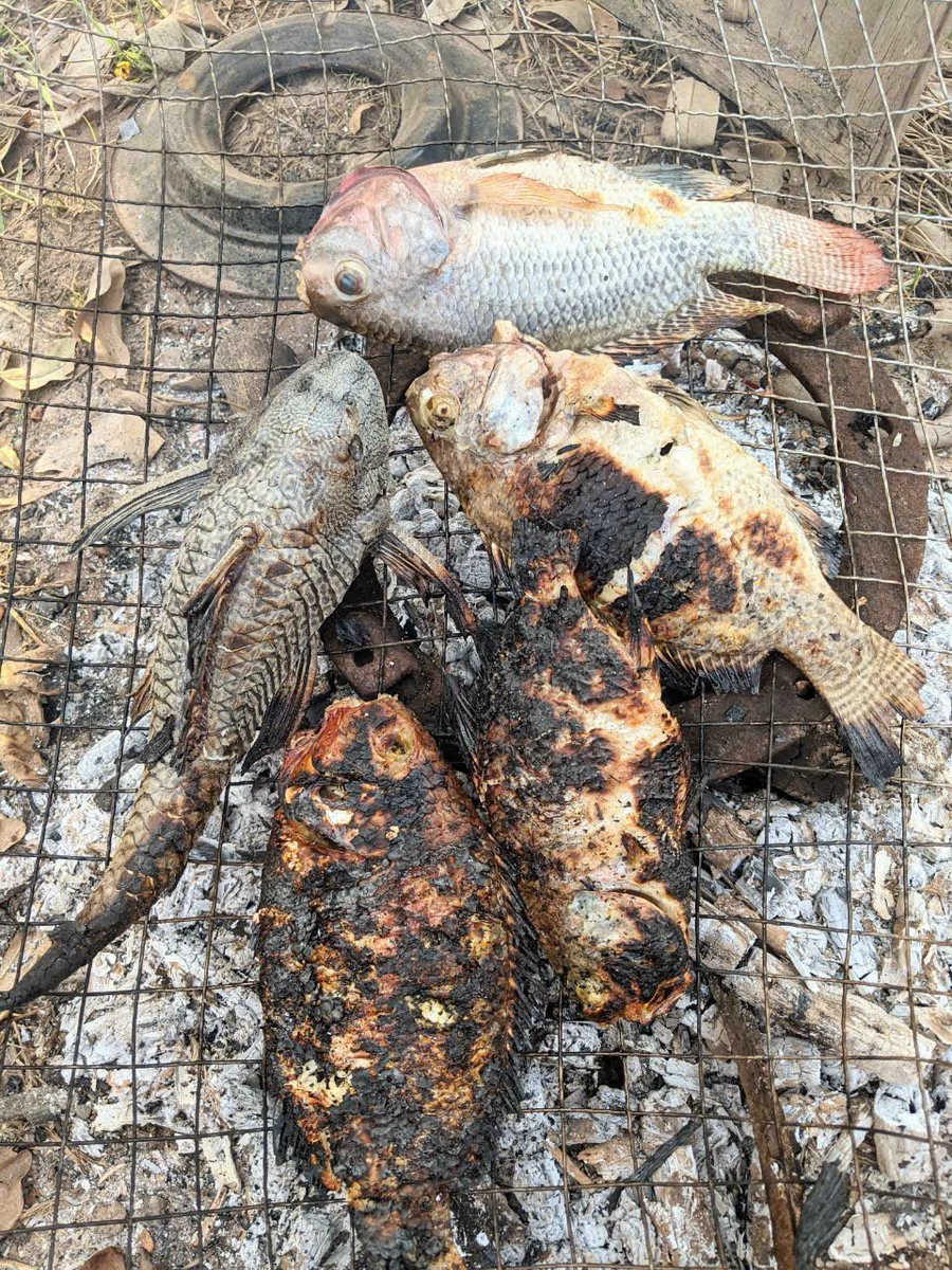 Xin phép hôm nay mình xin nghĩ 🥹