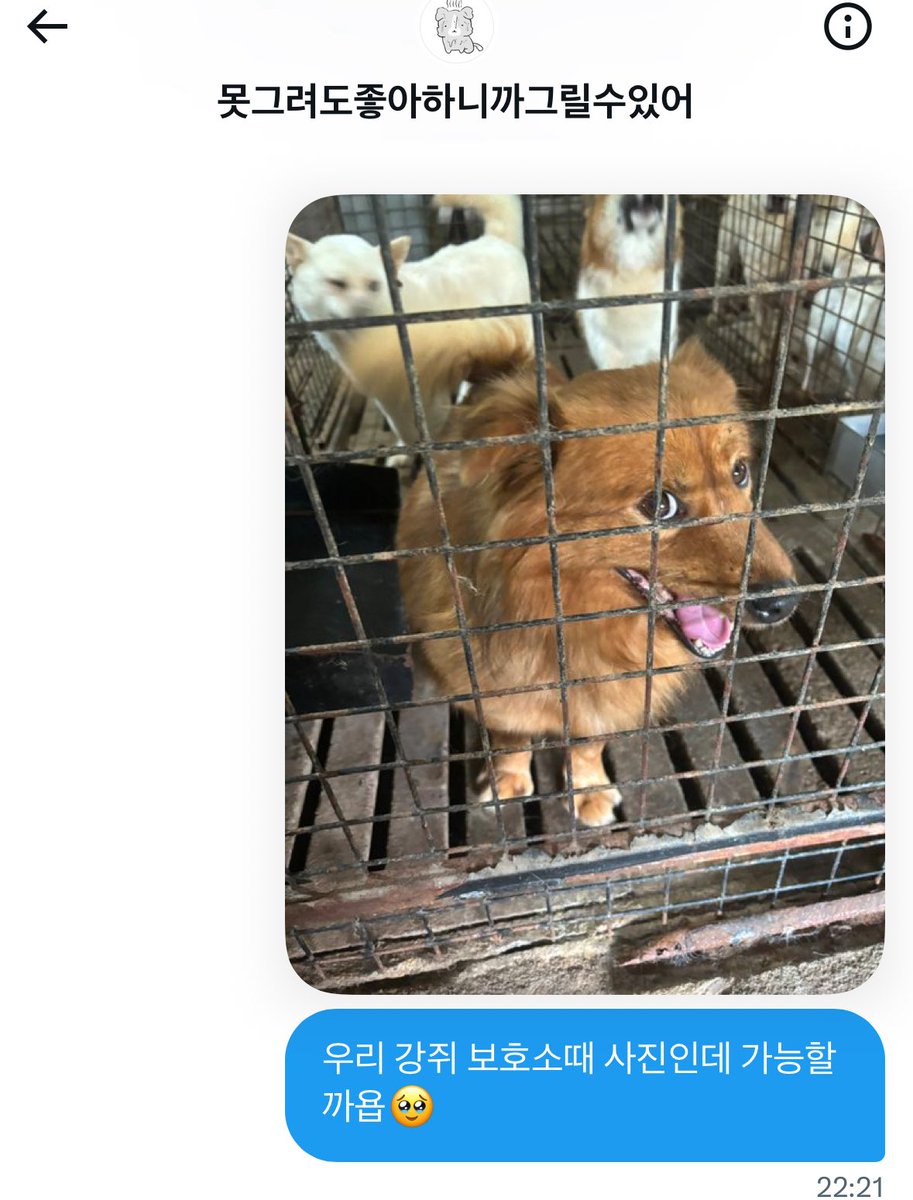 개꽃and동구🐶 tweet media