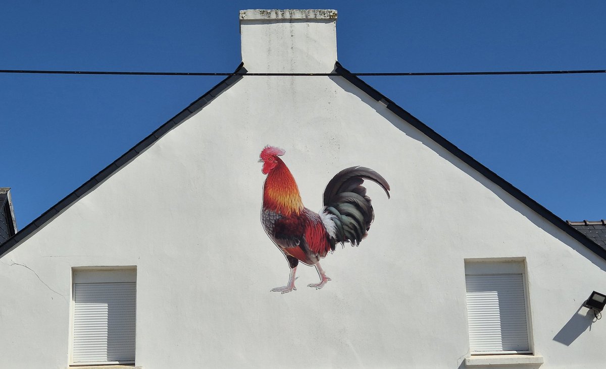 GillesPennelle's tweet photo. Petites unités, souci du bien-être animal, croissance lente, abattoir intégré à l'exploitation, magasin pour la vente directe... cet élevage du Finistère produit des volailles de grande qualité !
Pendant ce temps là, l'Union Européenne inonde nos marchés de volailles ukrainiennes engraissées dans des usines qui ne respectent aucune des normes qu'elle impose à nos éleveurs !