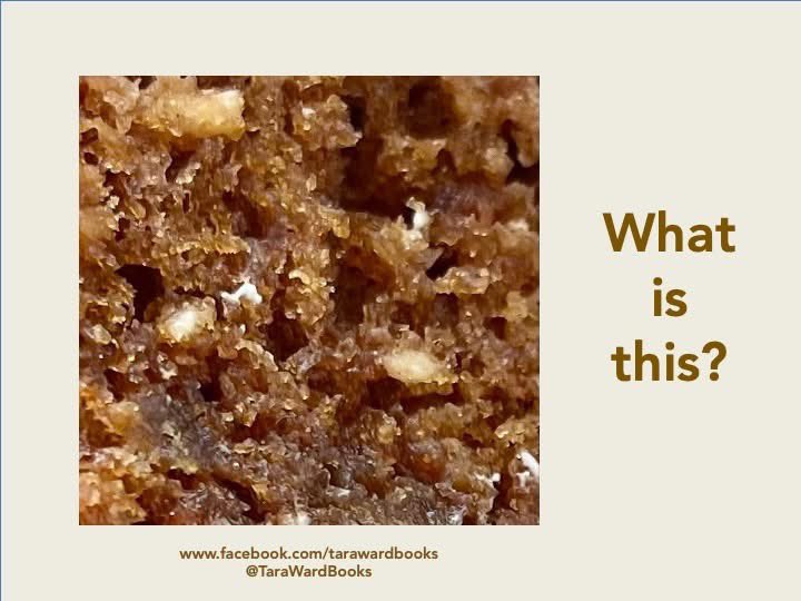 Your #SundayQuiz! I look forward to reading your answers, as always! #SundayFunday #PicturePuzzle #PhotoQuiz #HaveAGo ...