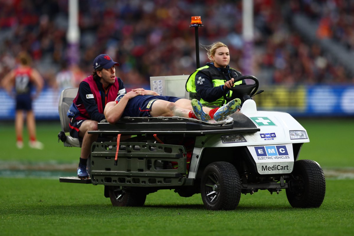 Melbourne Demons tweet media
