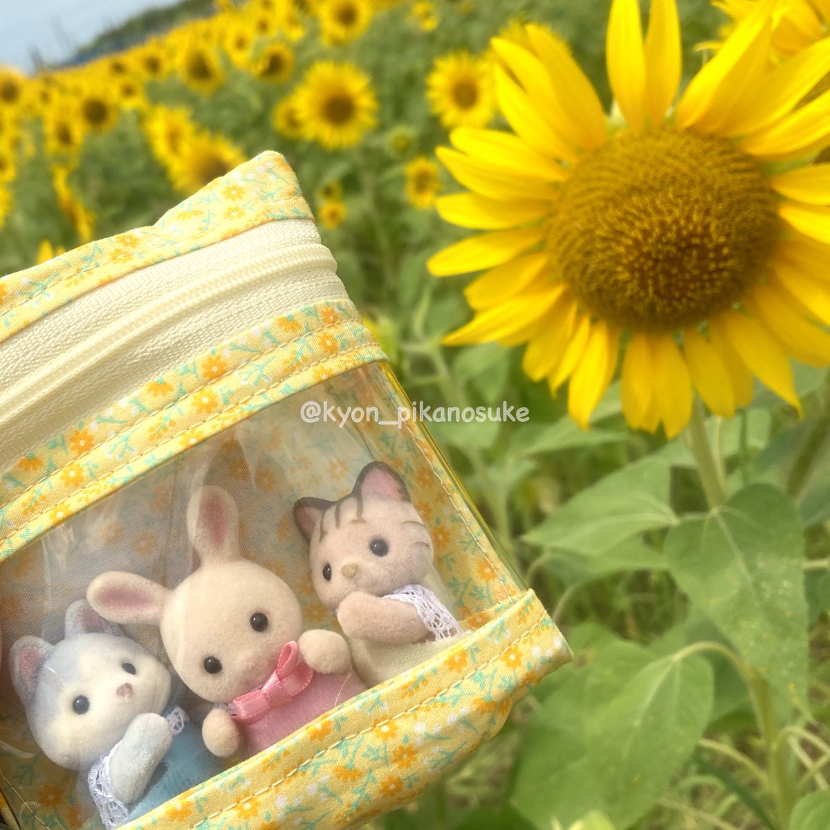 きょん🌷 on X: 