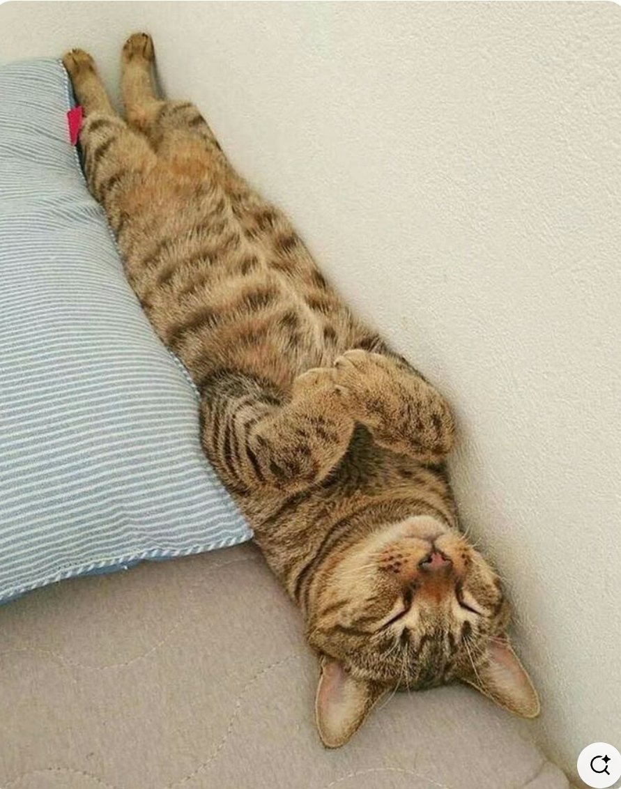 Hyvää sunnuntaita! 😍