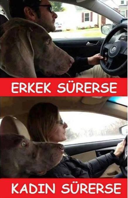 BİRİNCİ FLOOD’IN DEVAMI
21-..kadınların kötü sürücü oldukları şeklindeki, günümüzde hala varlığını sürdüren cinsiyetçi klişe yaygınlaştırıldı. Öte yandan Birinci Dünya Savaşından sonraki hızlı sanayileşme döneminde geleneksel kendi kendine yeterli erkek..
thehenryford.org/explore/blog/t…