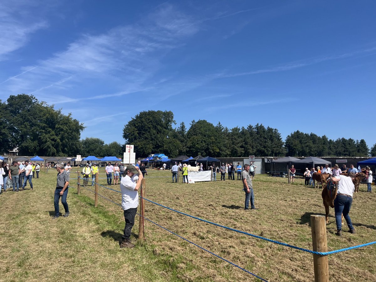 Eamonn O'Reilly tweet media