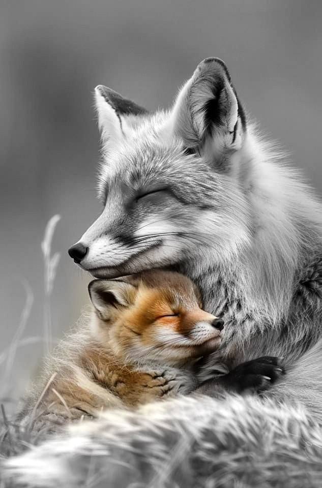 #StartsFollow 
#EliFriends

<a href="/S2_CarlaS2/">꧁༺Carla༻꧂#EliFriends━★✼☆</a>
<a href="/florchicana/">Selene  𝕏🖤Perfectly imperfect 🖤❌DM❌</a>
<a href="/Da__Eliz/">Eli👸</a>
<a href="/_MaryEly_/">💛 𑜞᭄ MaryEly🌻</a>
<a href="/EvilDoma/">𝐿𝑖𝑛𝑑𝑠𝑎𝑦=that tiny human</a>
<a href="/nunespereirabr/">𝑀𝑎𝑟𝑖𝑎 𝒥𝑜𝑎𝑜</a>
<a href="/vipdivaX/">𝐻𝒾𝓁𝒶𝓁</a>
<a href="/glmsjd/">𝑺𝒂𝒋𝒋𝒂𝒅 ✨</a>
<a href="/kamil_gk/">kamil ali gök</a>
<a href="/zahoorap1/">zahoor ahmed</a>
<a href="/Firefly13X/">QueenLG</a>
<a href="/Zeno_Mello/">🇧🇷Zeno_Mello🇧🇷</a>
<a href="/XEpifania3/">Sophie</a>
<a href="/2908Gunes/">Güneş</a>
<a href="/RobertPage68/">#EliFriends 👉Robert👈</a>
<a href="/emreakan4/">Emre Akan</a>
<a href="/FanstarSelena/">Selena Fan 🖤𝘧𝘢𝘯🖤𝘢𝘤𝘤𝘰𝘶𝘯𝘵🖤</a>
<a href="/Charlizefanart/">Charlize Theron Fanart</a>
<a href="/Luna_Om90/">Luna</a>
<a href="/WolvesXFB/">Wolves𝕏FB 🐺FAN Account</a>
<a href="/HomemMorcego/">Bicho do Paraná 🇧🇷</a>