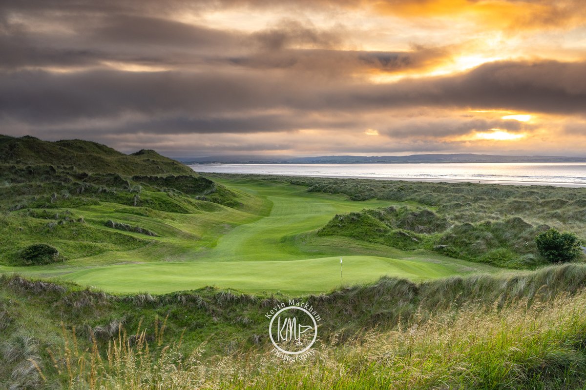 Kevin Markham tweet media