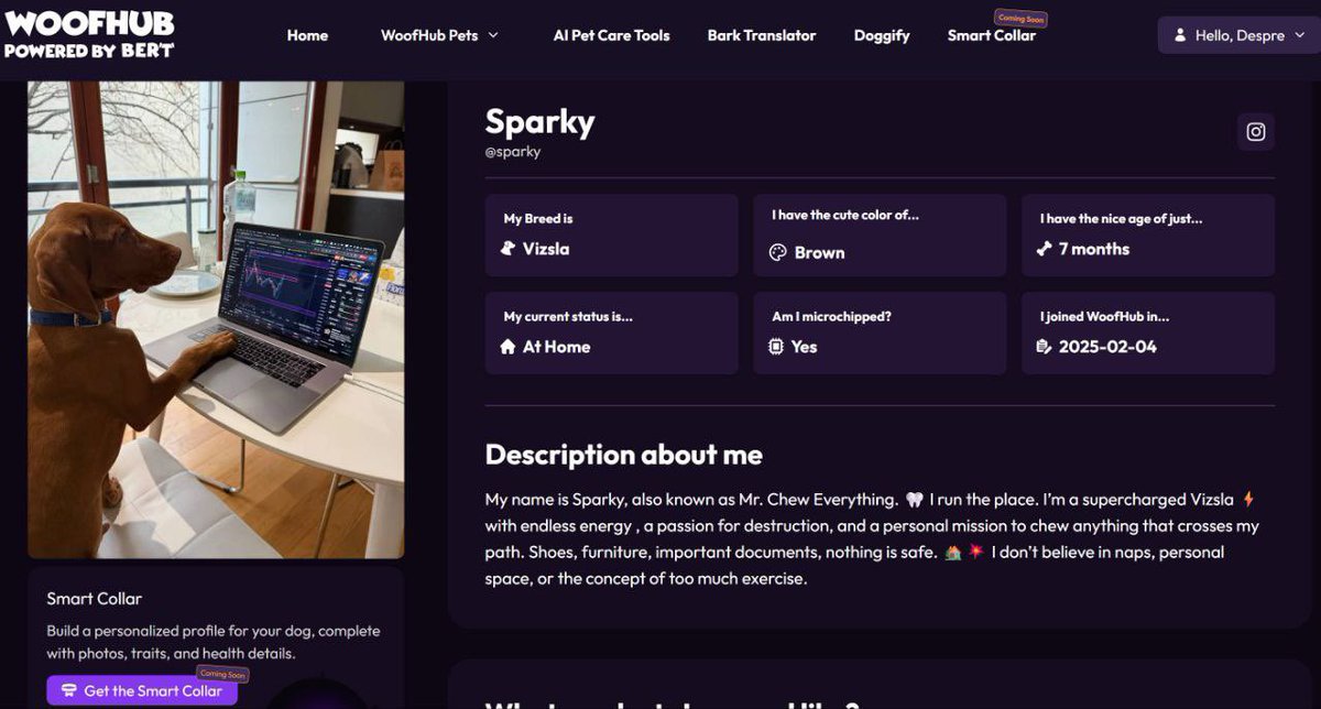 trader1sz's tweet image. If you’re a dog owner checkout woofhub.com it’s free. Made by the $BERT @bertcoincto team. 

Things on there that could help with pet care.