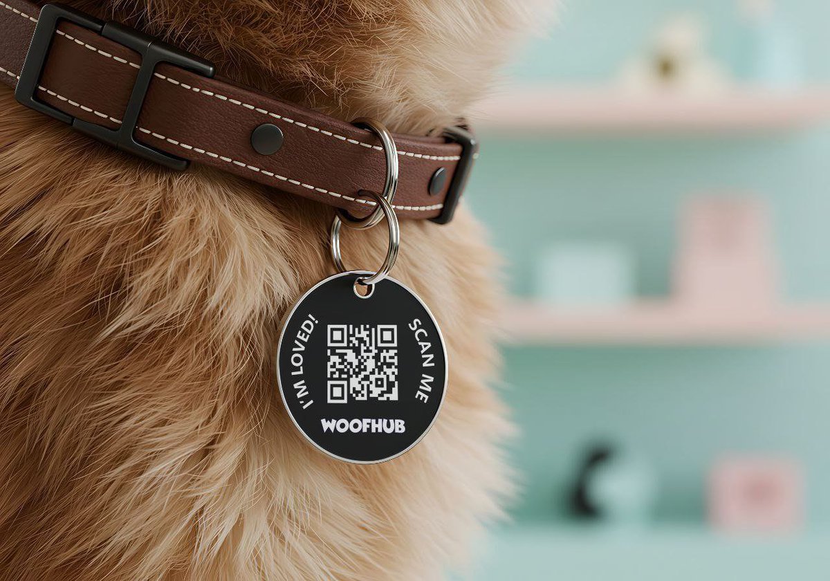 trader1sz's tweet image. If you’re a dog owner checkout woofhub.com it’s free. Made by the $BERT @bertcoincto team. 

Things on there that could help with pet care.