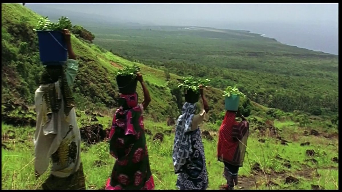 thenomadfilm's tweet image. This afternoon, we indulge in filmmaker Hachimiya Ahamada's visual offering, The Ylang Ylang Residence, as Djibril, our lead, confronts the meaning of home while he looks for a new one!
Streaming now!π°π²π₯
