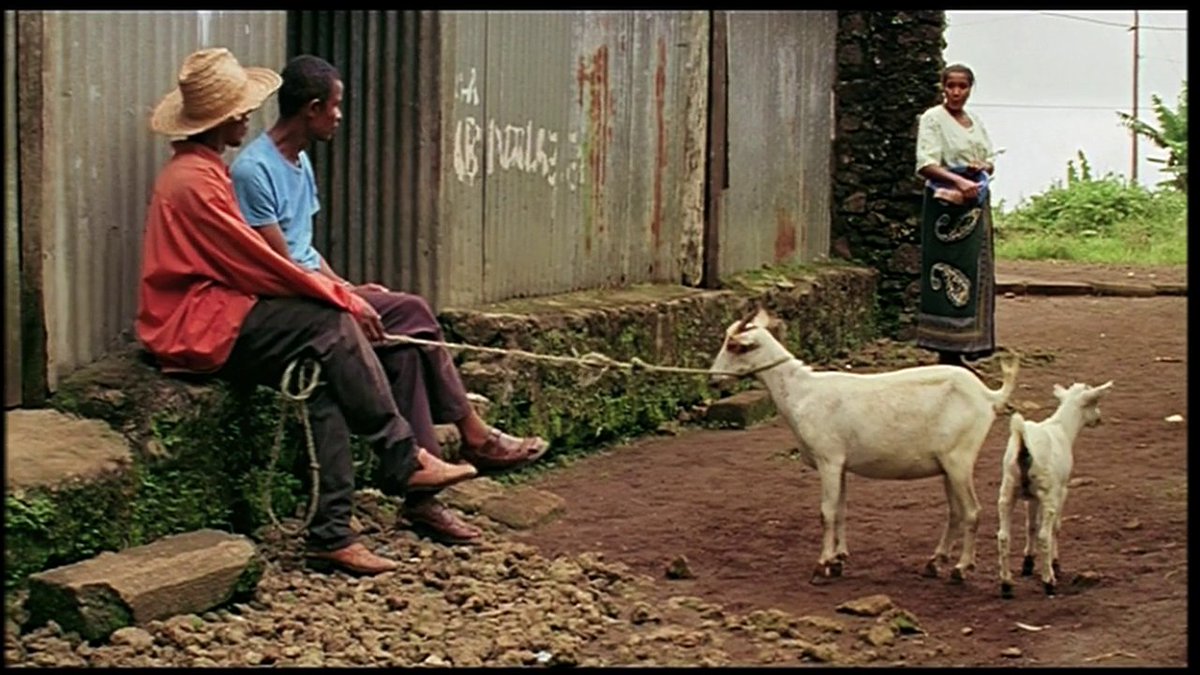 thenomadfilm's tweet image. This afternoon, we indulge in filmmaker Hachimiya Ahamada's visual offering, The Ylang Ylang Residence, as Djibril, our lead, confronts the meaning of home while he looks for a new one!
Streaming now!π°π²π₯