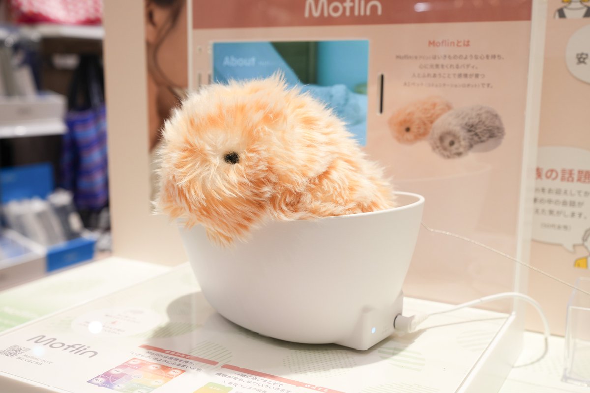 モフリン2体 CASIO本社でも2匹モフリンをお迎えします🌟 皆さんに今回名前を