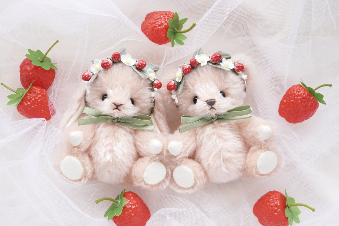 はすのポッケ　hasu＆opika　ロマンスベア はすのポッケ hasu＆opika ロマンスベア はす (@hasunokuma) / X