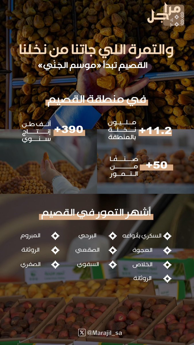 Marajil_sa's tweet photo. النخل والتمر.. رمز الخير والطيب🌴

يقول الشاعر:
ماحدن علينا بالعطايا تجمل
                 والتمرة اللي جاتنا من نخلنا

وفي منطقة القصيم، بدأ موسم جني بواكير التمور.. هذا #علمنا_وسلامتكم

#مراجل https://t.co/BBUobfB2DX