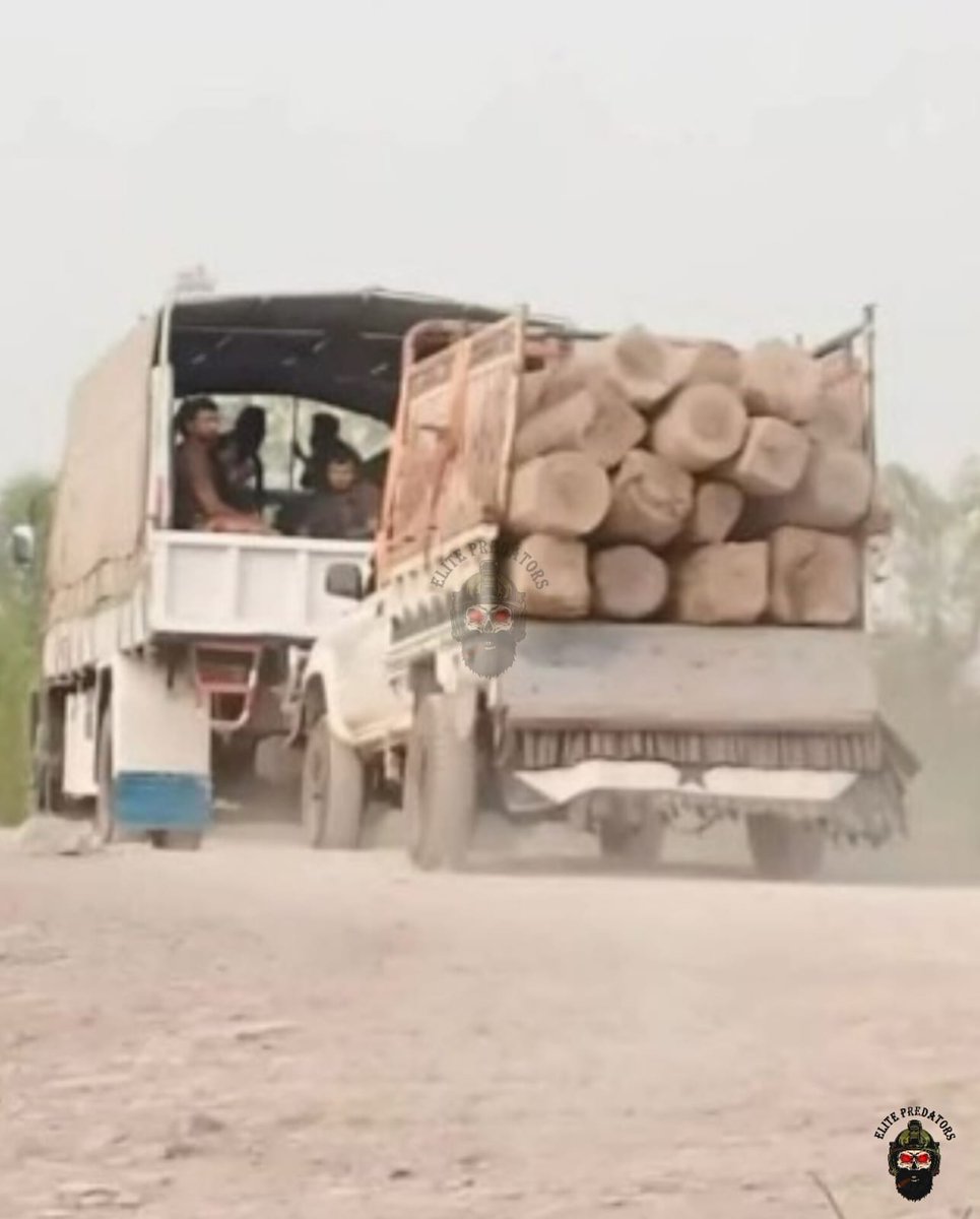 After smuggling of Oil from Iran was exposed.

Here is Pakistan's Army again caught smuggling Diar woods also known as deodar woods from Kashmir.

Deodar or Himalayan cedar tree is know for its superior wood quality which deliver strength, durability and have natural anti-fungal,