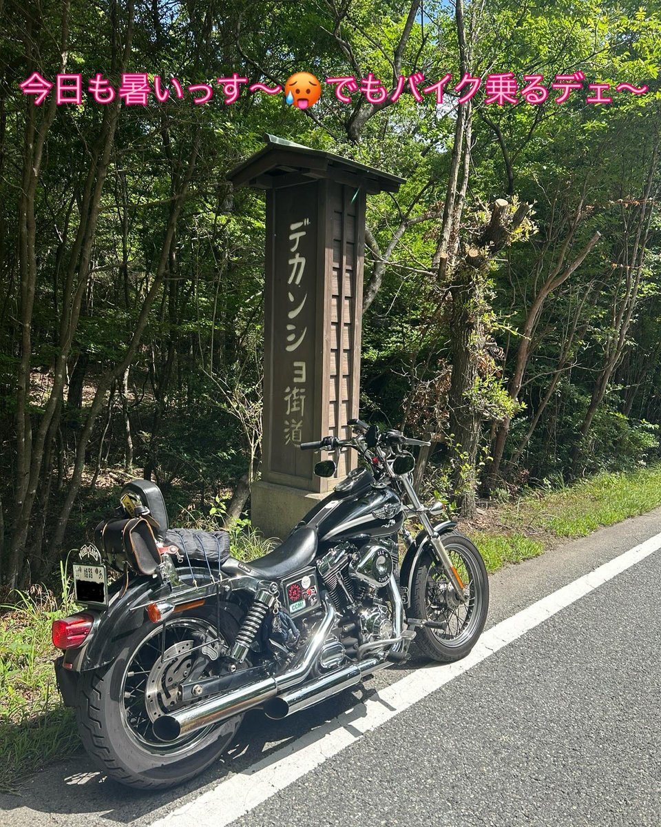lonelylowrider's tweet photo. チョイ悪ジジィの鉄馬🐎日記
今日も暑いっす🥵デモ楽しい����からバイク乗ります😊👍
#merryads
#pandapit https://t.co/yE4T0Uvi5I