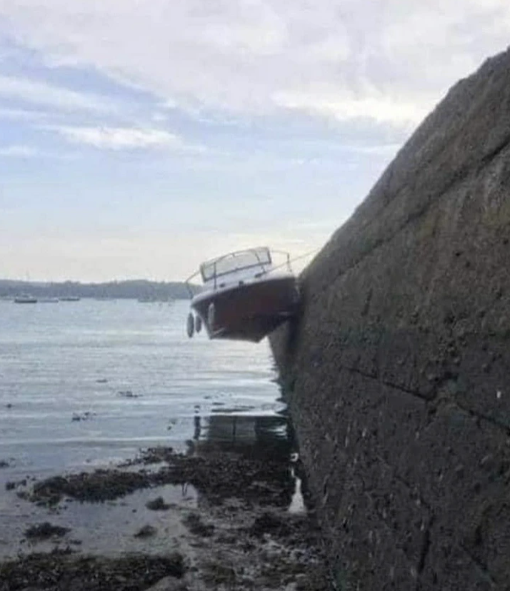 MensHumor's tweet image. This guy ties good knots.