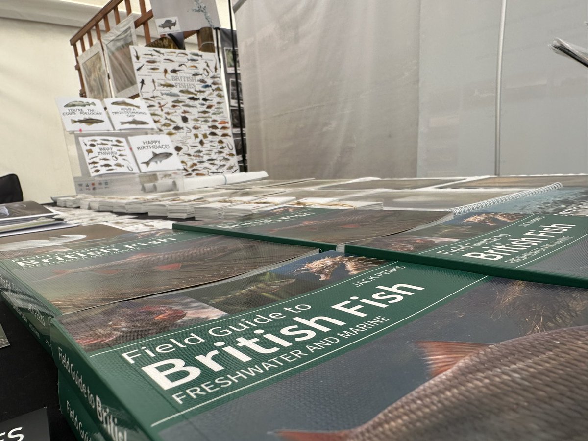 Last day of bird fair today lovely to meet so many followers grab a book while you can!