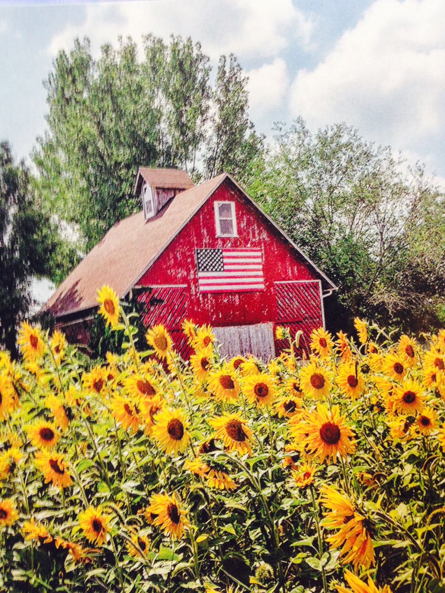 I pledge allegiance to the flag of the United States of America and to the republic for which it stands, one nation under God, indivisible, with liberty and justice for all