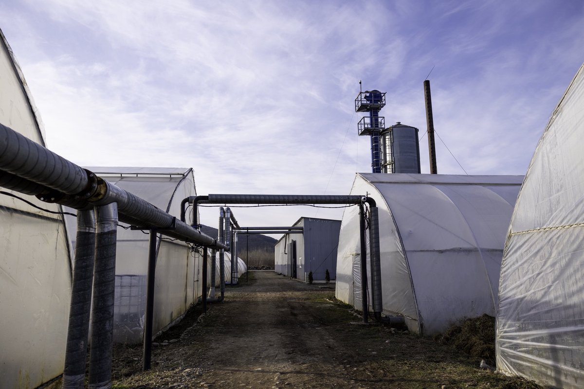 agroglorytime's tweet photo. AgroGloryTime — where technology meets the land 🌾🫰

We’re building smart greenhouses: double-layered film, temperature control, ionization, and magnetization — all to boost yields by +30% and profitability up to 50%.

Investing is simple — the AGTI token is backed by real greenhouse assets, and dividends are paid quarterly in stablecoin 📈

And we’re not stopping: we’re building the AGTInw intelligent network, preparing the KNOWARIUM gaming platform… and all this is happening in the greenhouse sector of Zakarpattia — with cyberneticians, agronomists, and music lovers working side by side.

There’s a slice of the future, a steady harvest of tomatoes and cucumbers, and a tech-powered innovation ecosystem — AgroGloryTime is already here.

🤖 Bot — https://t.co/NvkcIbGil7
👤 Founder — https://t.co/E3THvWdgT7