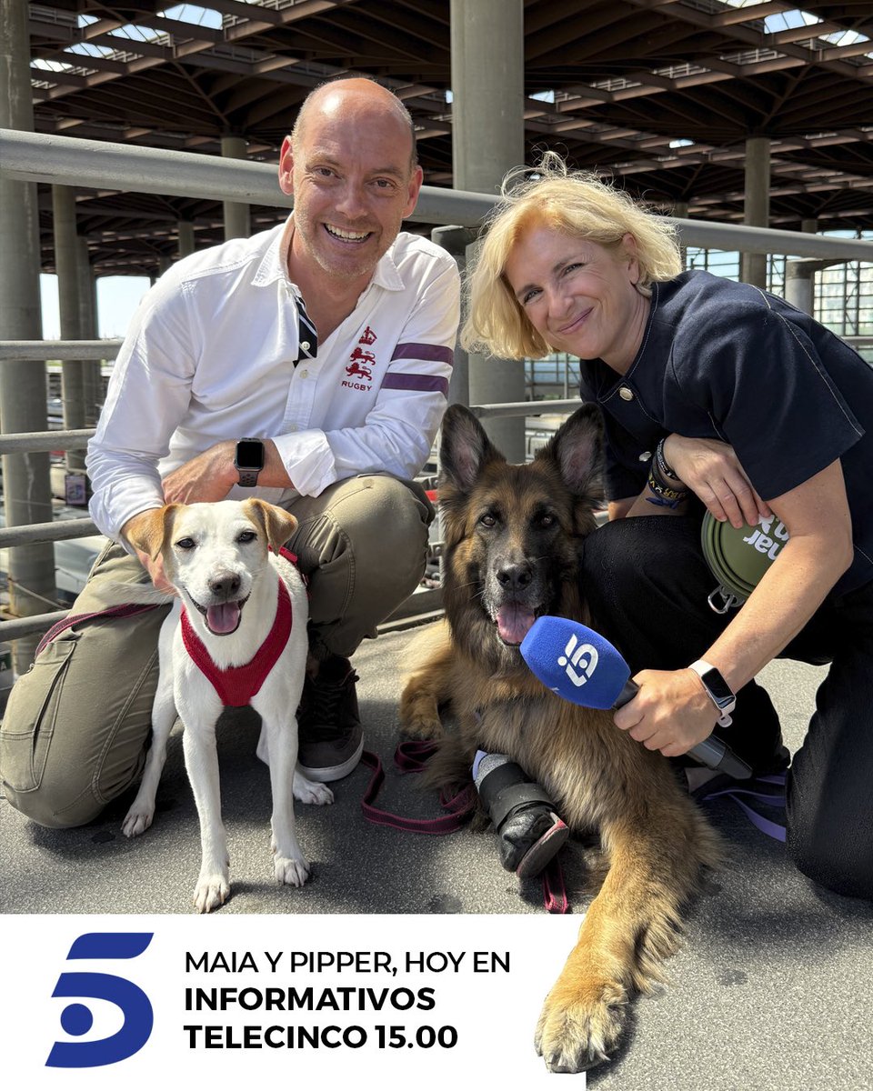 Pipper on tour tweet media