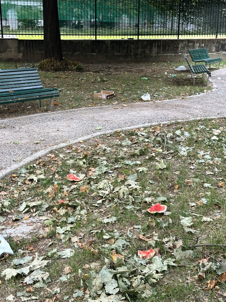 ClaudioMuggeo's tweet photo. Parco Via Luisa Sanfelice. Prati pieni di cocci di bottiglie, spazzatura gettata ovunque. È possibile un intervento? Grazie 🙏 

@amsa_spa @ComuneMI @BeppeSala https://t.co/fhYy7IBtbA