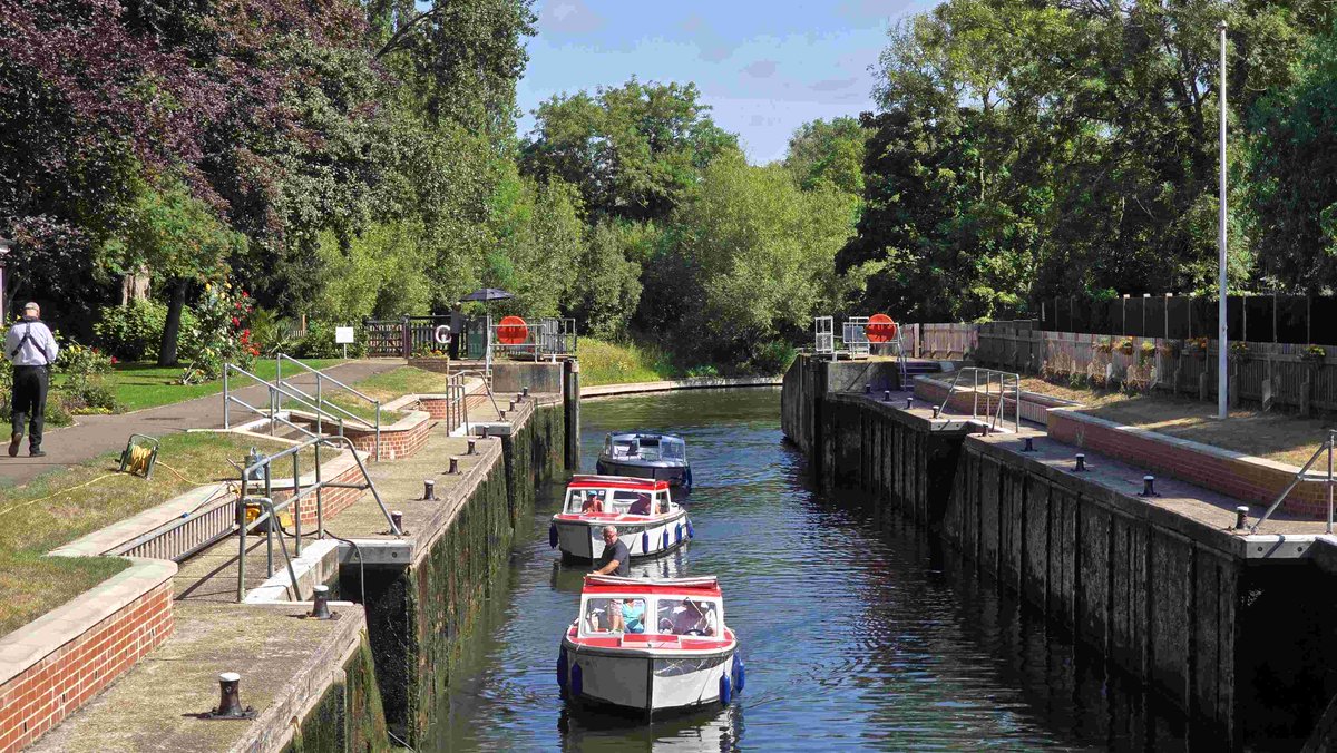Romney Weir tweet media