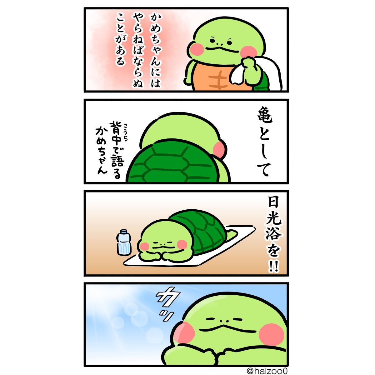 かめちゃんの夏☀️ | はる蔵 さんのマンガ | ツイコミ(仮)