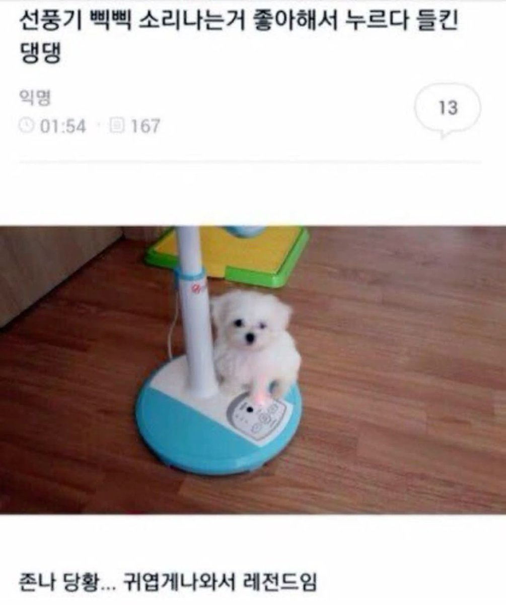 챱 (@lovx11_very) on Twitter photo 