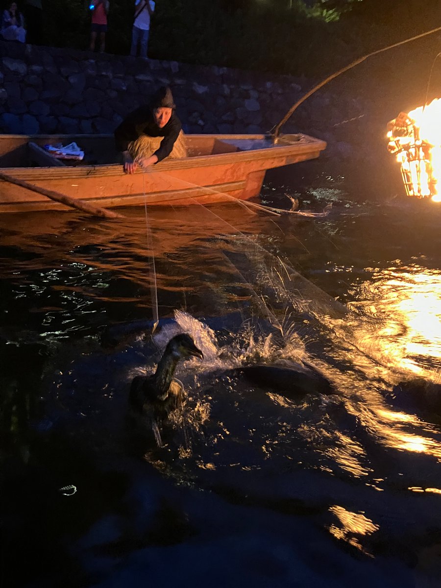 宇治川で鵜飼見物。
間近で見られてなかなかの迫力。