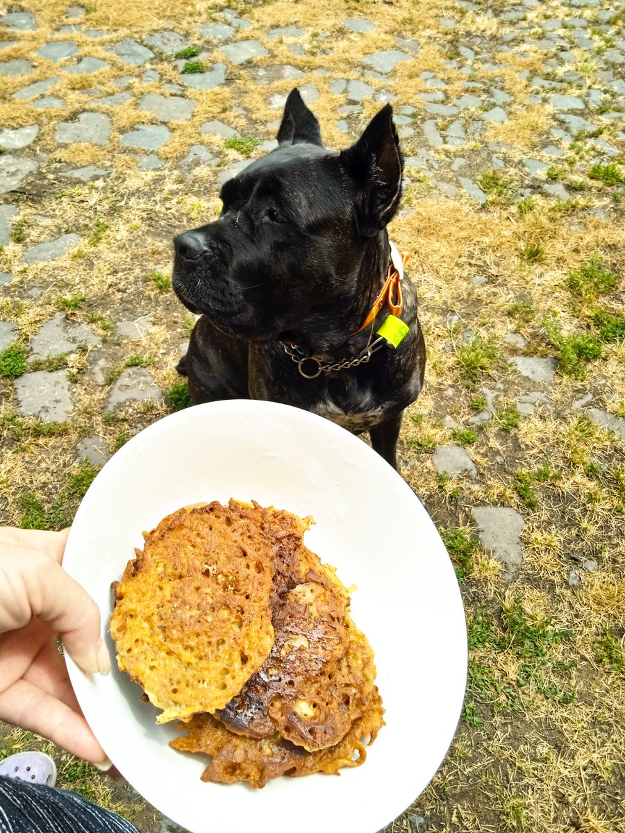 i_chilli_a_kafe's tweet photo. Mně se zdá, že je tu zase někdo chudák 🤪😁
#bramboraky
https://t.co/bbYCjKsqXV https://t.co/wEk7WfvTwL