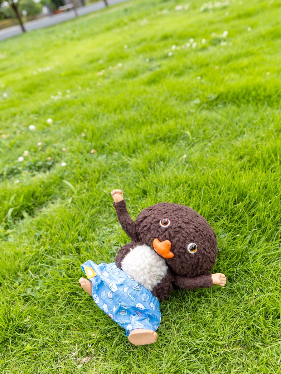 おーはーよ、＾＾！