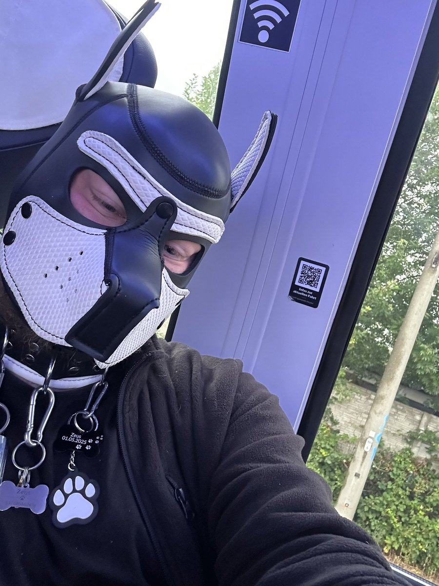 Welpe_Zeus's tweet photo. Rave The Planet Berlin https://t.co/g3dh7YC9RL
