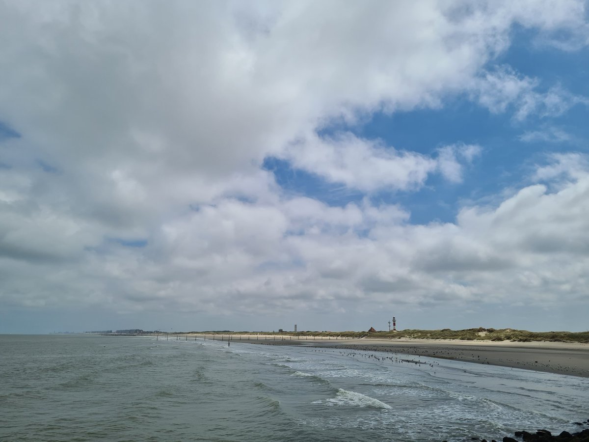 Weerstation Pajottenland tweet media