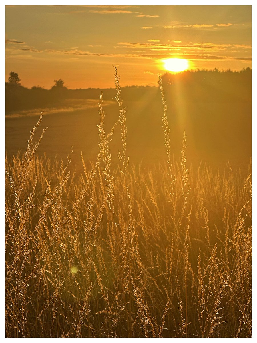 Long hot summer night in July in Avebury.