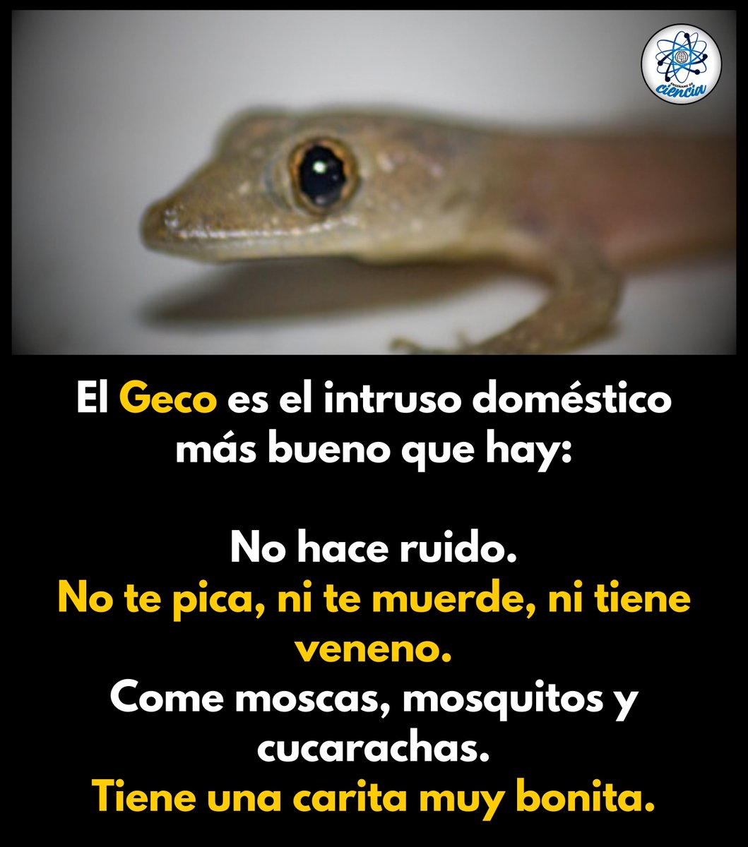 EnsedeCiencia's tweet image. Sí. 😊