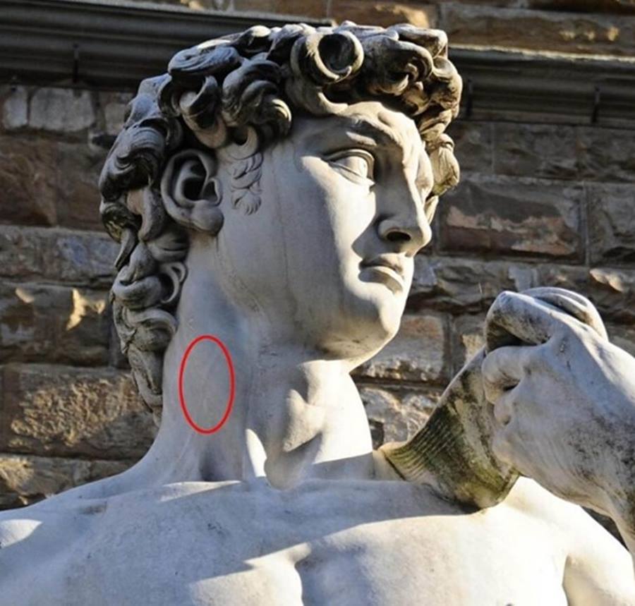 Michelangelo insan anatomisini son derece iyi biliyordu. Bu bilgi, pek çok eserinde açıkça görülür. Öyle ki, bilim dünyası dolaşım sisteminin işleyişini açıklamadan bir yüzyıl önce bile şah damarının varlığını ve yerini anladığı anlaşılmaktadır.