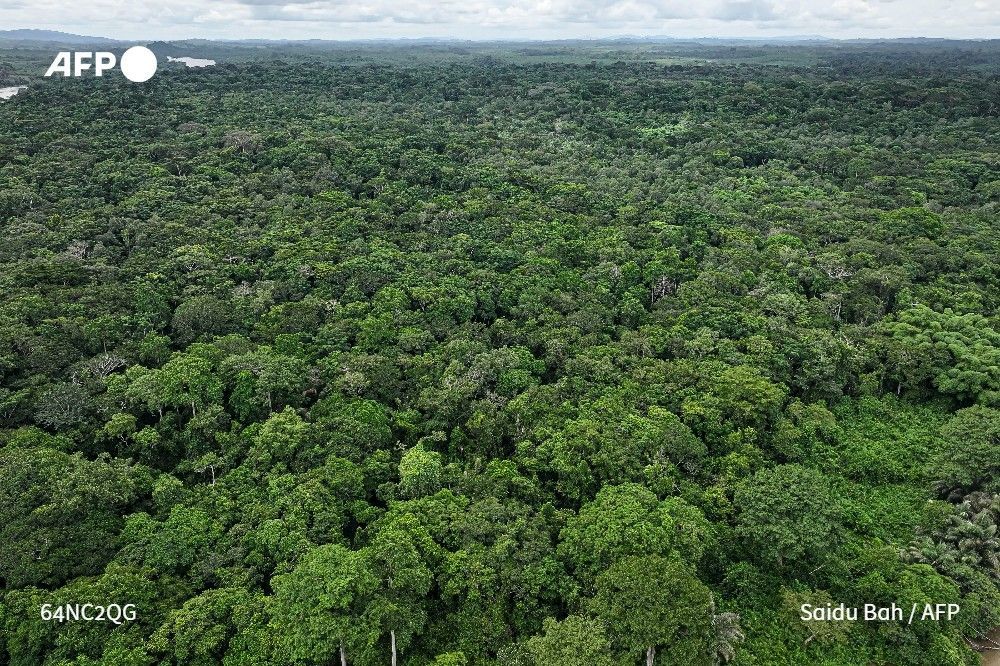 Agence France-Presse tweet media