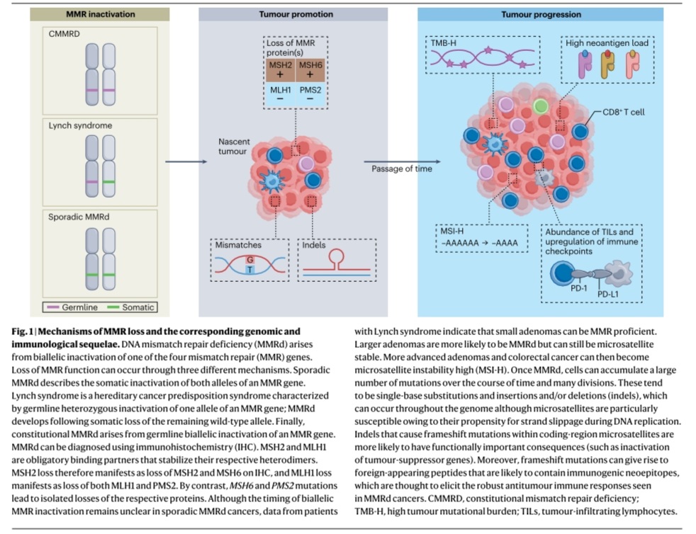 Dra. María Natalia Gandur Quiroga tweet media