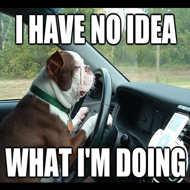 Hope your enjoying your Sunday....
breakerlink.com for all your new and used car parts .
#new #used #car #parts #breakerlink