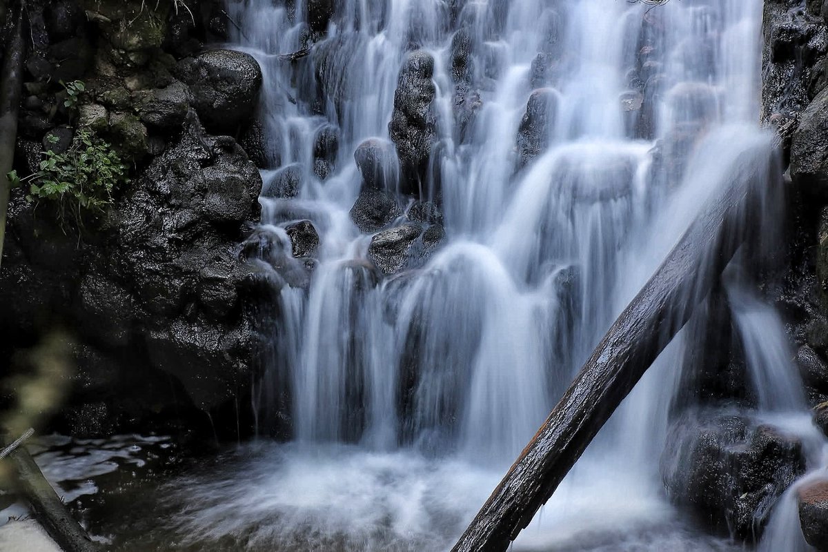 Vidmantas Karpis (@karpis315) on Twitter photo 