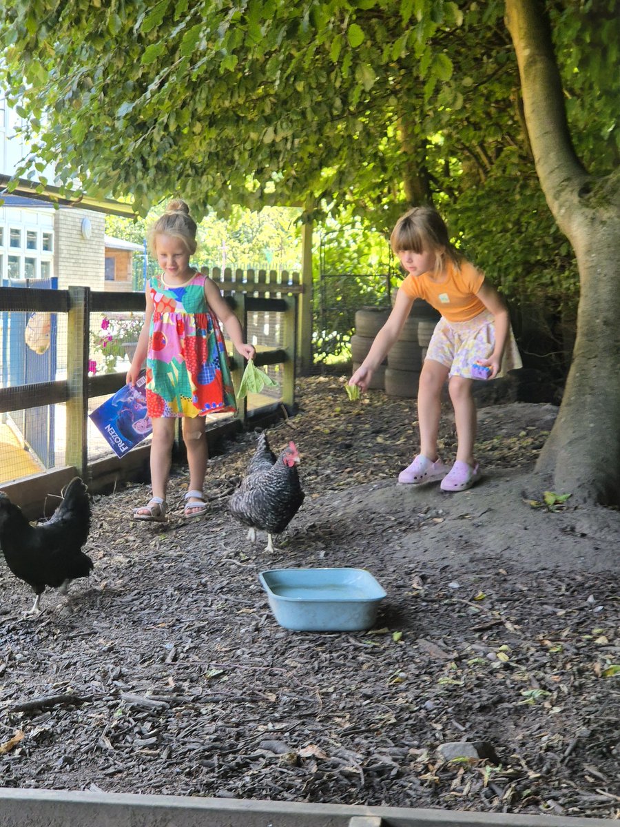 Sinead Riley tweet media