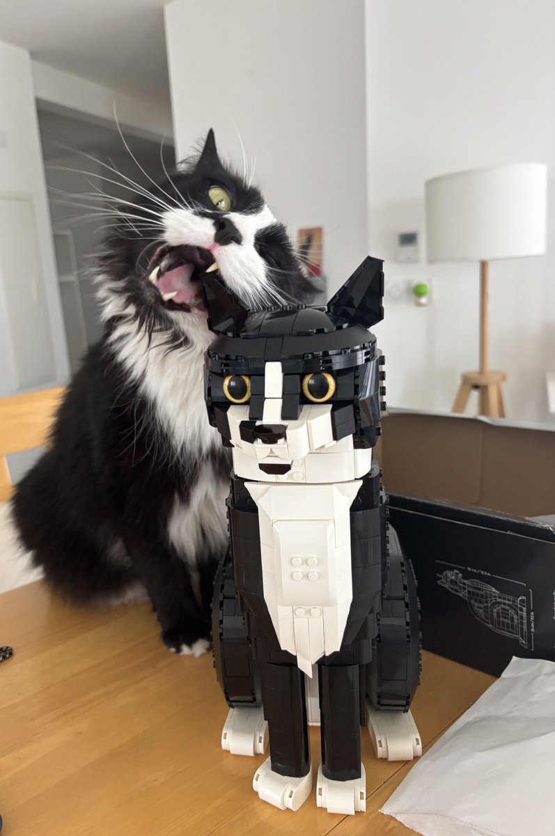 Mathilde 🩺 (@matenolol) on Twitter photo 