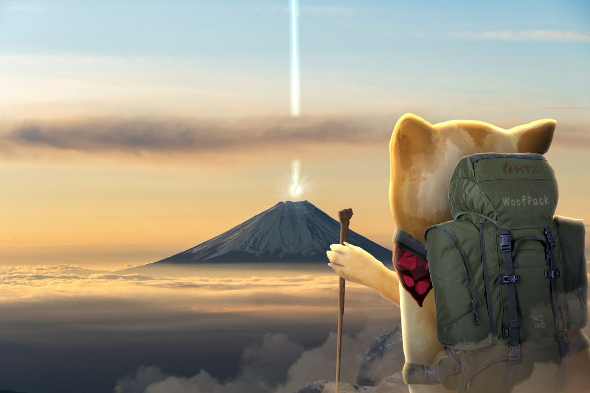 neiro's tweet image. HTX beam = snack cannon! Neiro on a tasty mission!