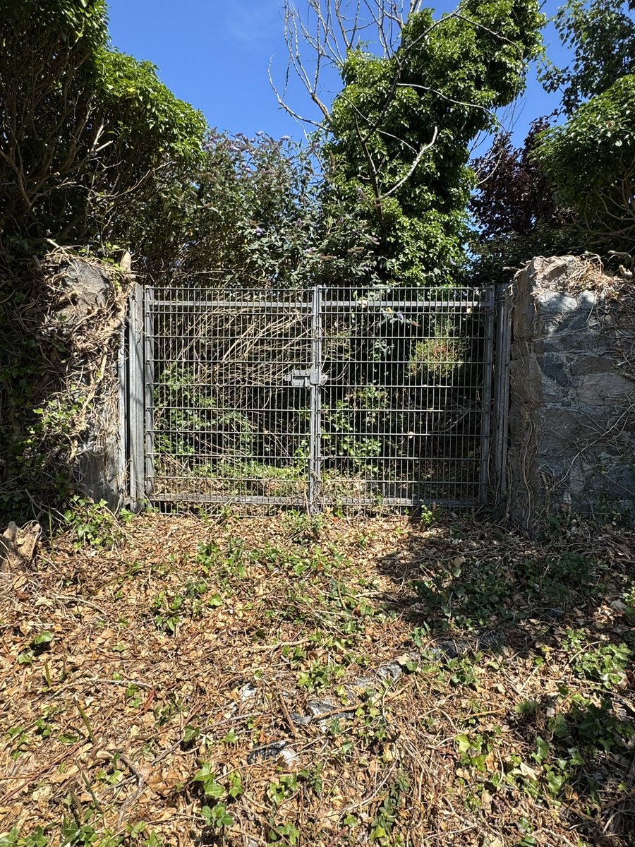 Sunday doors and gates.