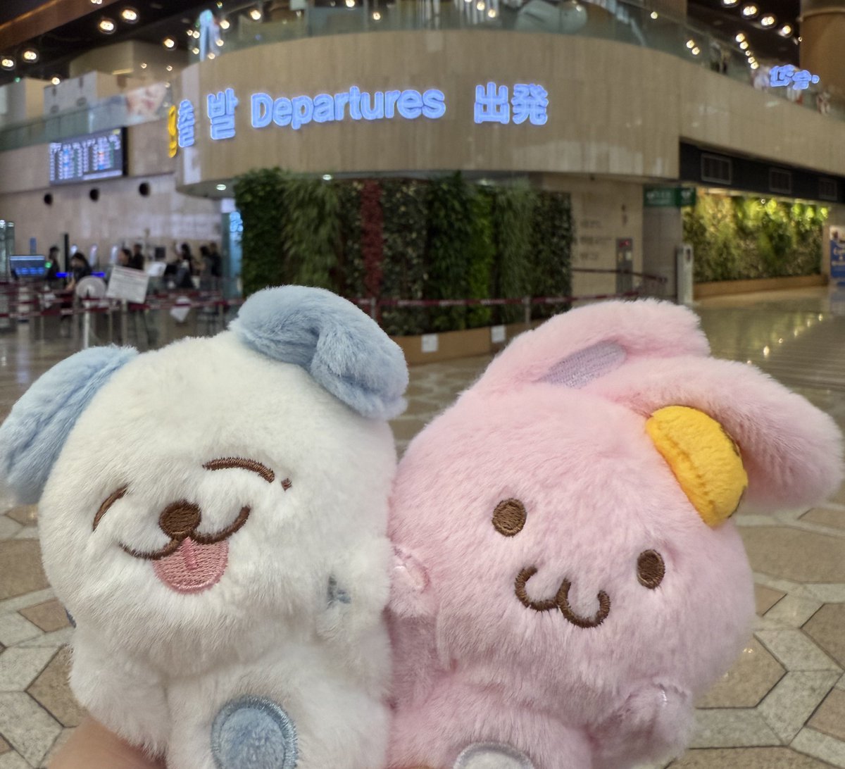 sllin1104's tweet photo. あんにょん〜🇰🇷👋next🇹🇭✈️ https://t.co/yeODwHUtb2