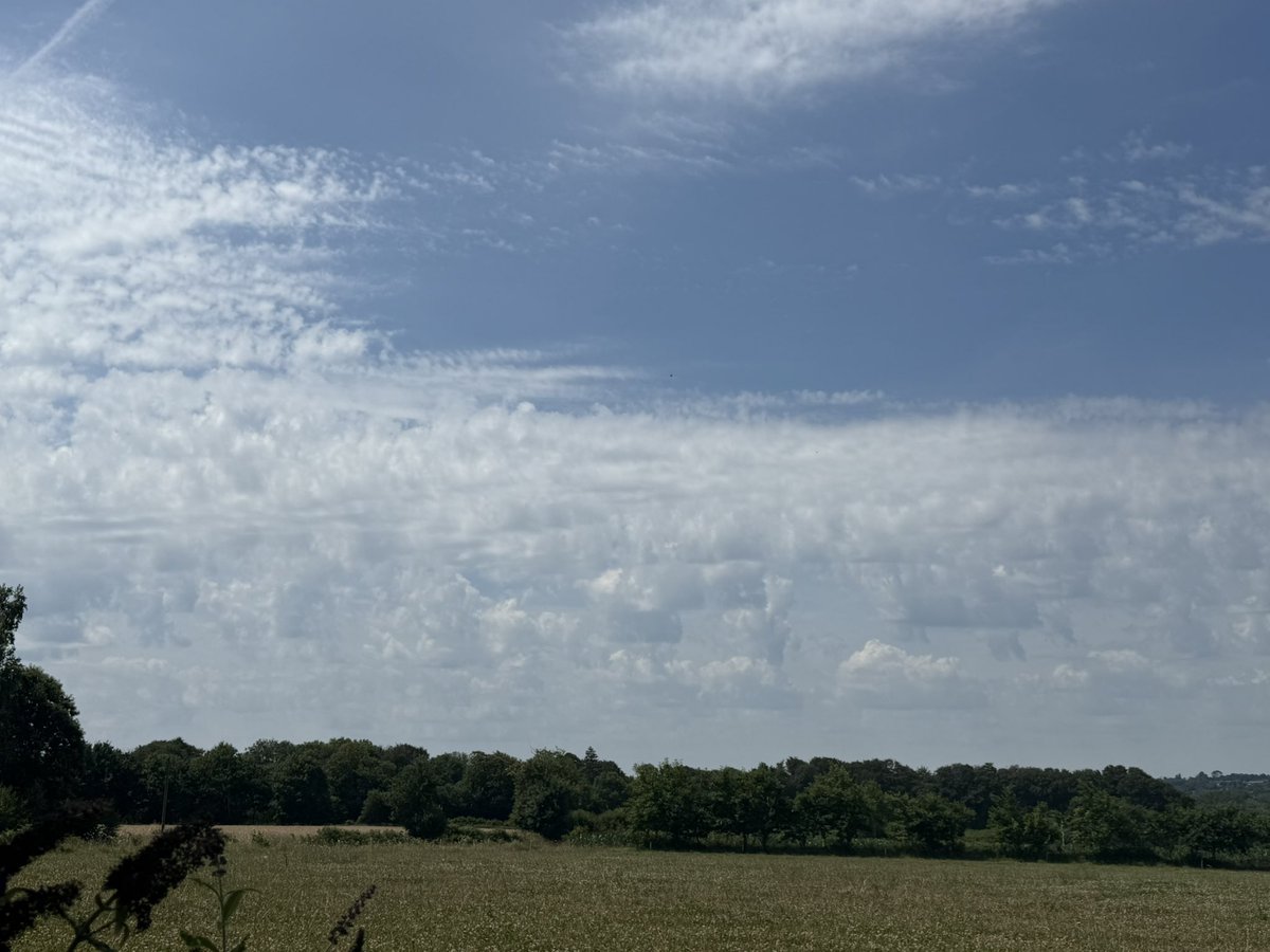 jadajkk's tweet photo. @MeteoBretagne @StevenTual_off @Temps_Breton 
Mise en place de la convection sur l’ouest des côtes d’Armor https://t.co/5q7ePAgHEV